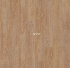 Forbo Allura Click Pro 60295CL5 pure oak фото 2 | FLOORDEALER